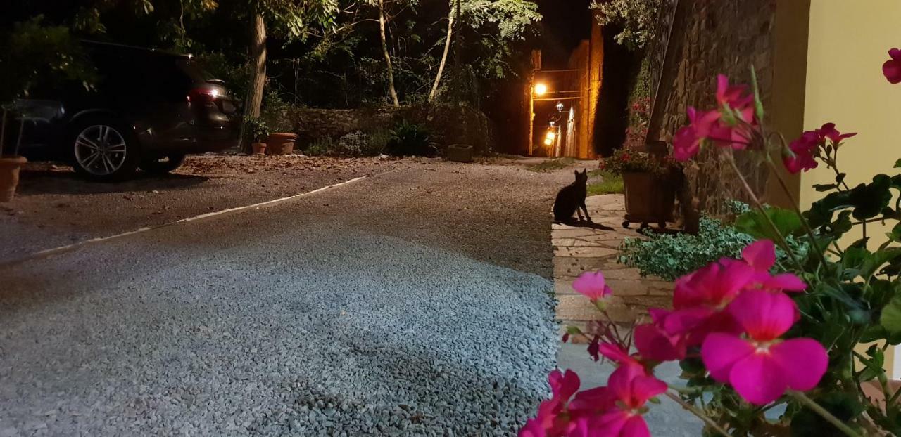 Mansarda Degli Ulivi Apartment Rigomagno Exterior photo